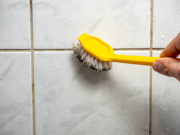 Best Mold Remediation  in Enterprise, UT