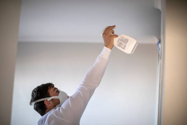 Best Crawl Space Mold Removal  in Enterprise, UT