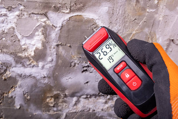 Best Best Mold Removal Companies  in Enterprise, UT
