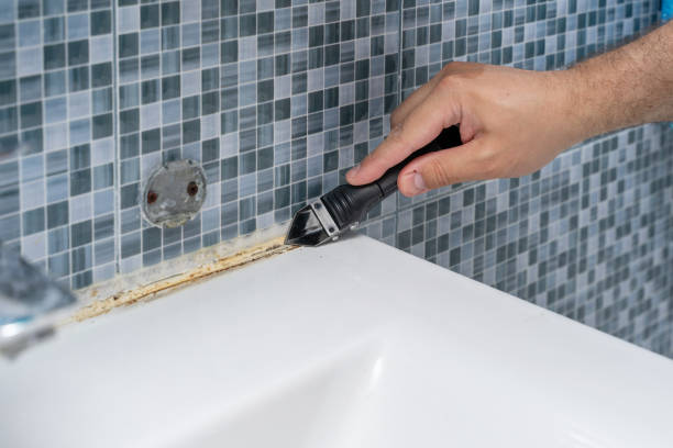 Best Mold Damage Repair  in Enterprise, UT