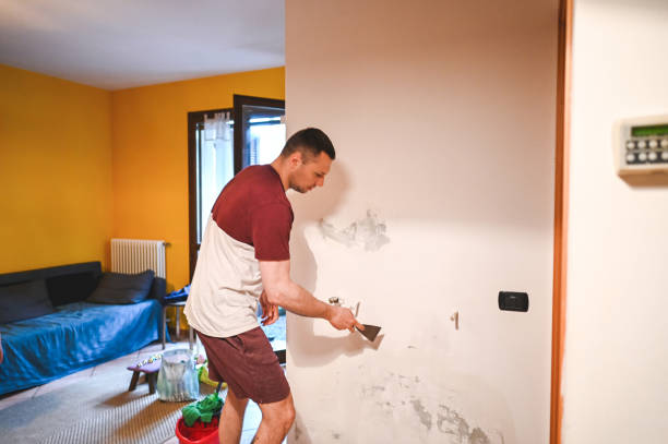 Best Mold Damage Repair  in Enterprise, UT